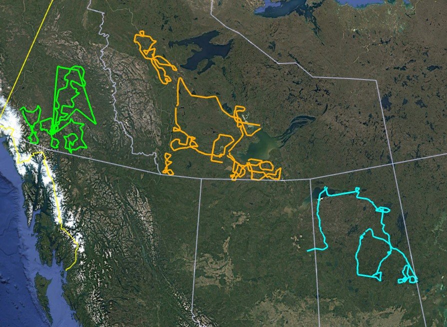 Northern Canada LiDAR Forestry Program