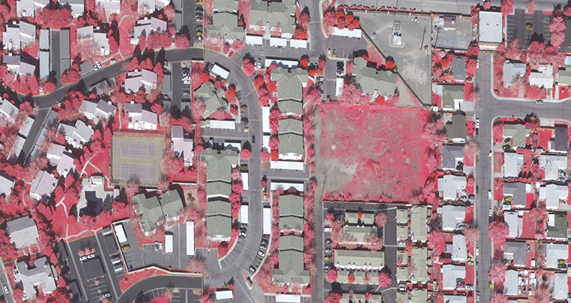 Near-Infrared Orthophotos