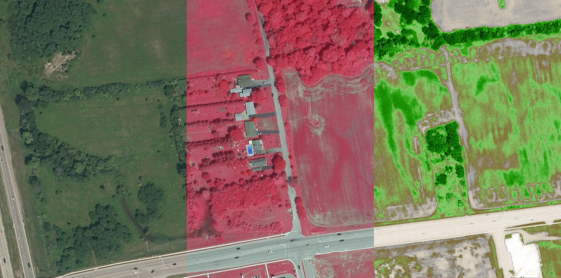 Natural Color, Near Infrared, NDVI Orthophotography