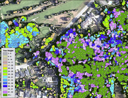 Selected area graphical query showing tree height classes